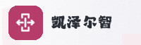 合作伙伴